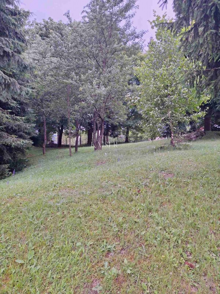 Image 6101934 - 3