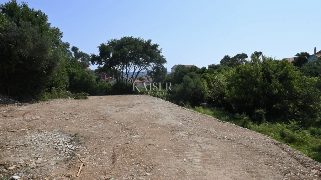 Image 6101949 - 3
