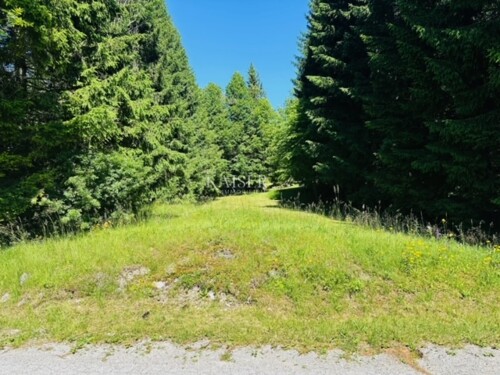 Gorski kotar, Delnice - građevinsko zemljište 896 m2