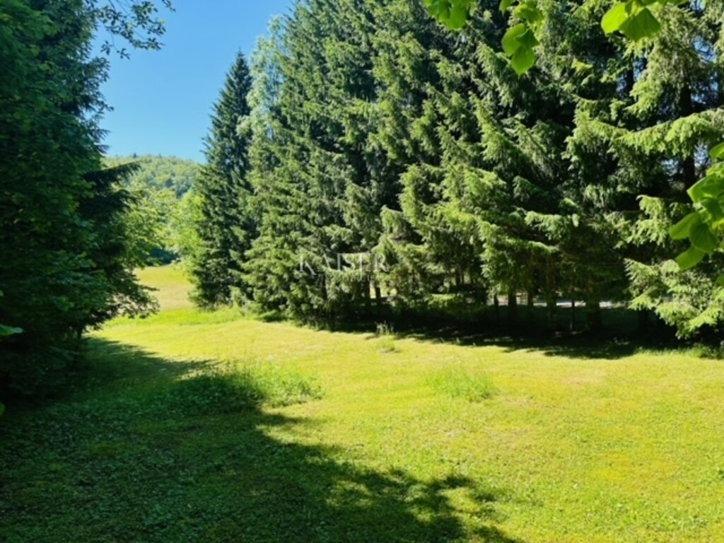Image 6101950 - 4