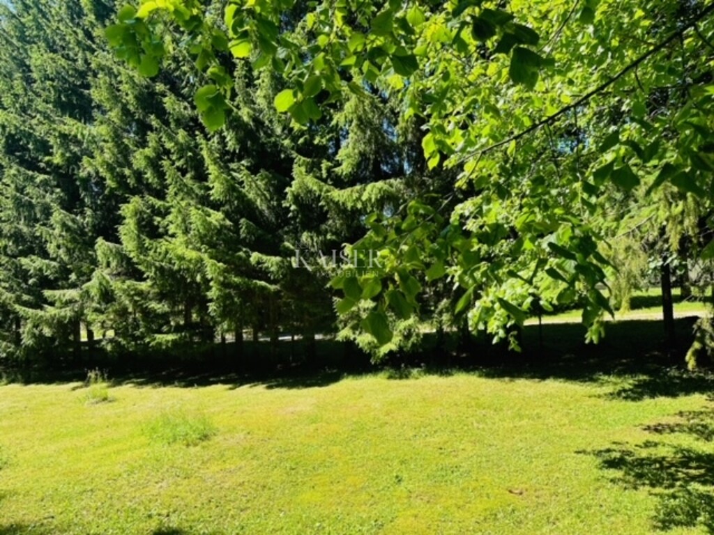 Image 6101950 - 5