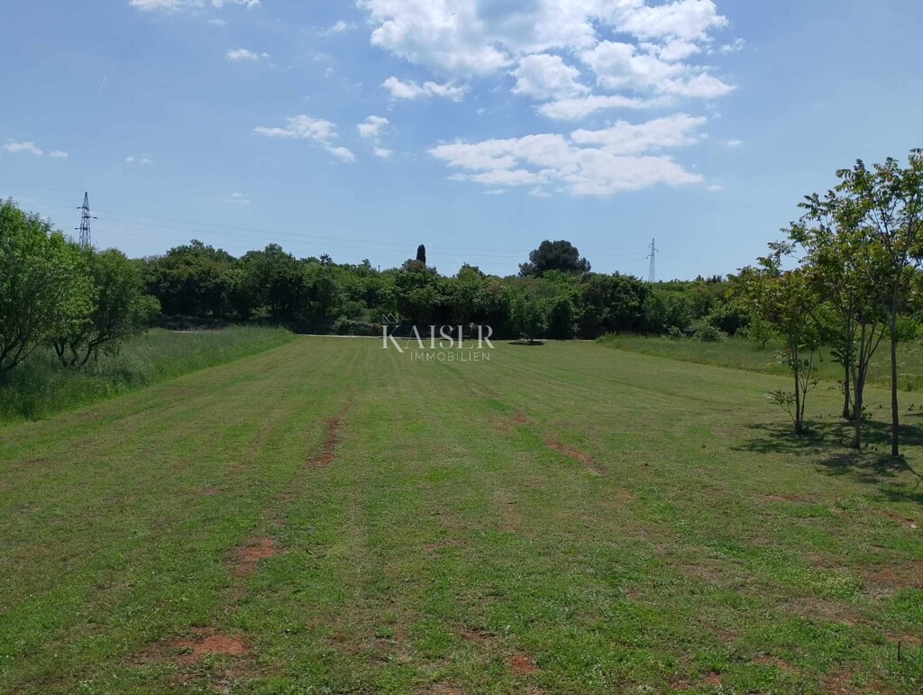 Image 6101951 - 1