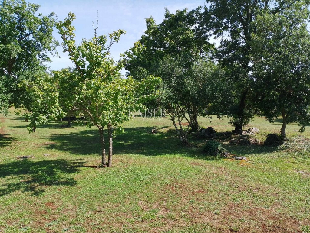 Image 6101953 - 6