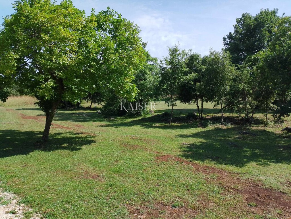 Image 6101953 - 5