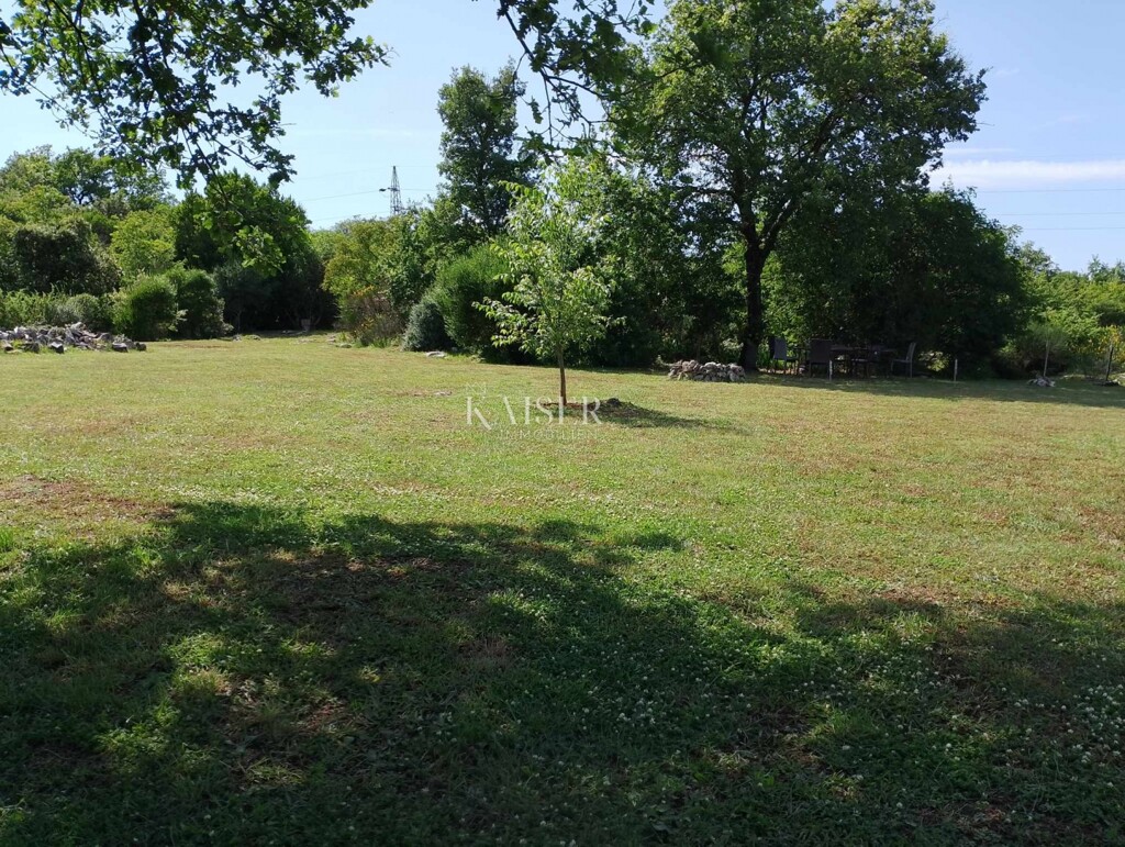Image 6101953 - 3