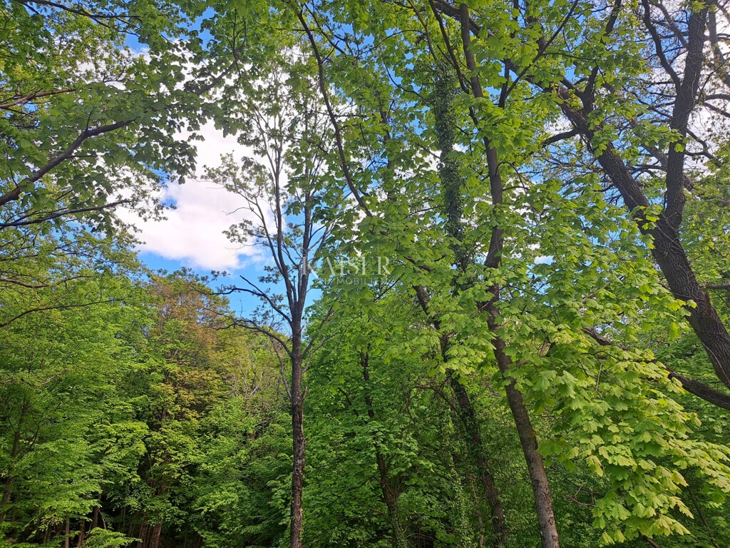 Image 6101961 - 2