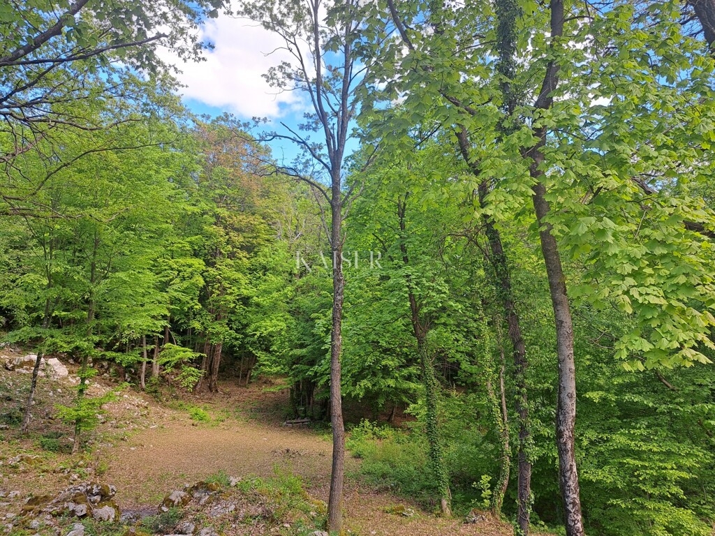 Image 6101961 - 3