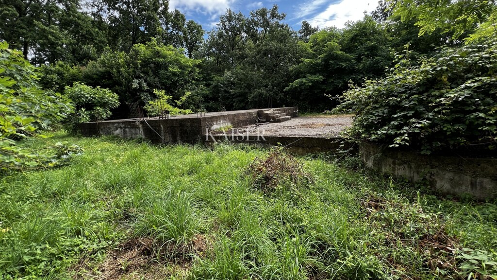 Image 6101971 - 3