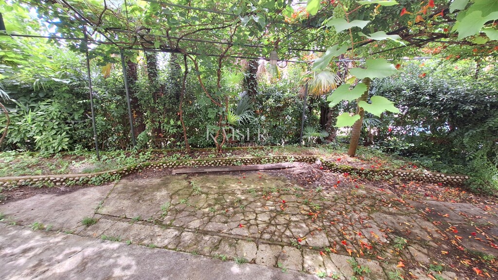 Image 6101975 - 17