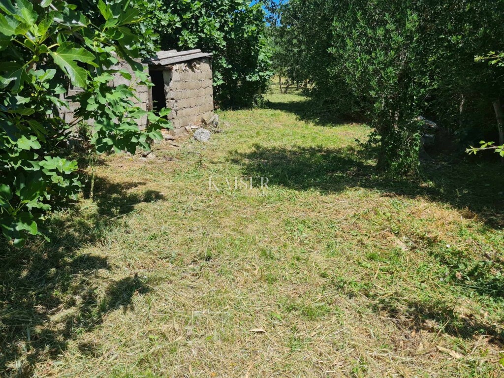 Image 6101988 - 7