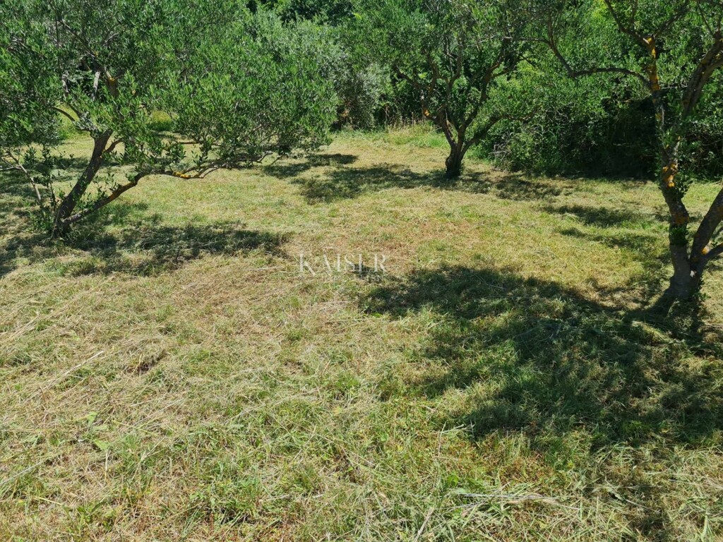 Image 6101988 - 5