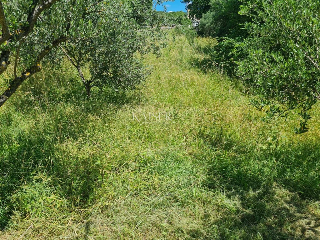 Image 6101988 - 3