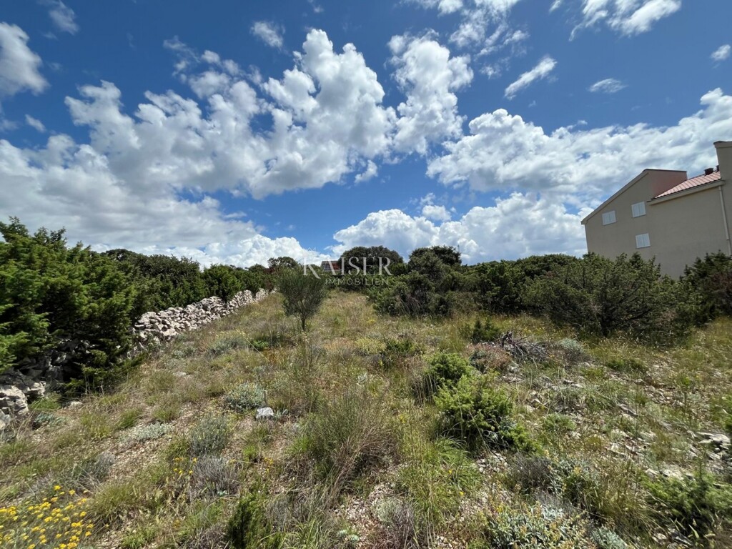 Image 6101991 - 5