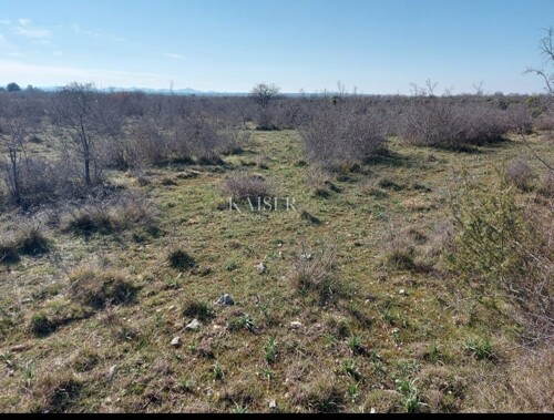 Zadar, Smoković,-građevinsko zemljište 12000m2
