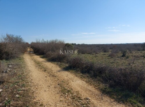 Thumbnail 6102036 - 5
