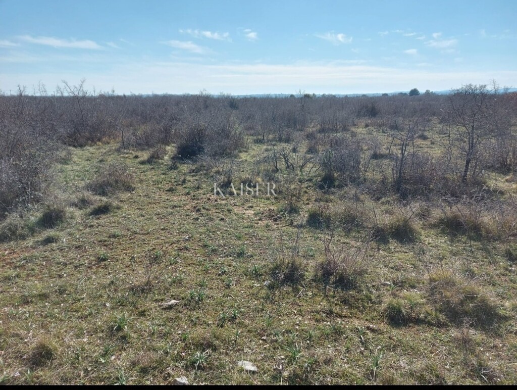 Image 6102036 - 3