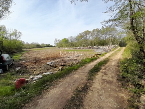 Thumbnail 6102059 - 4