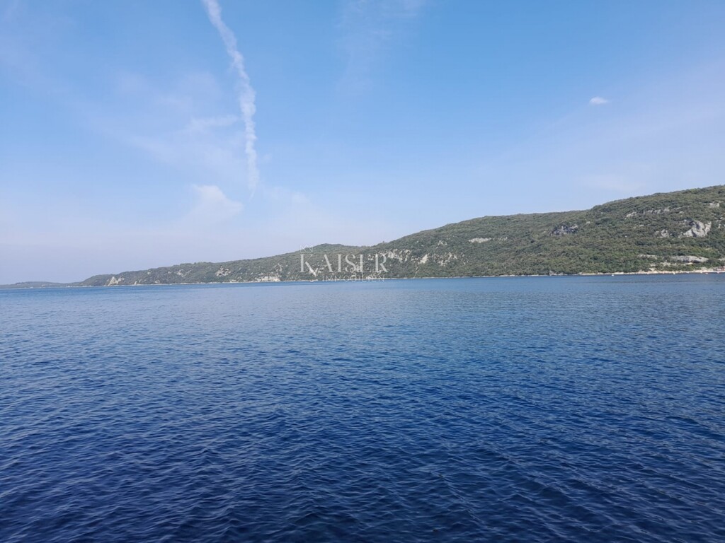 Image 6102059 - 3