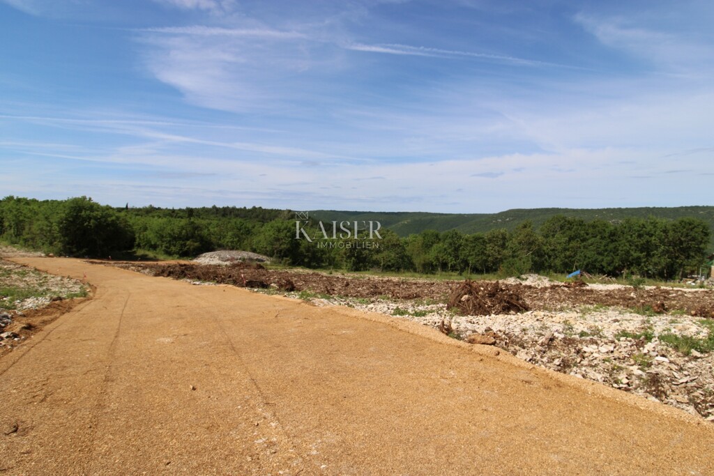 Image 6102060 - 2