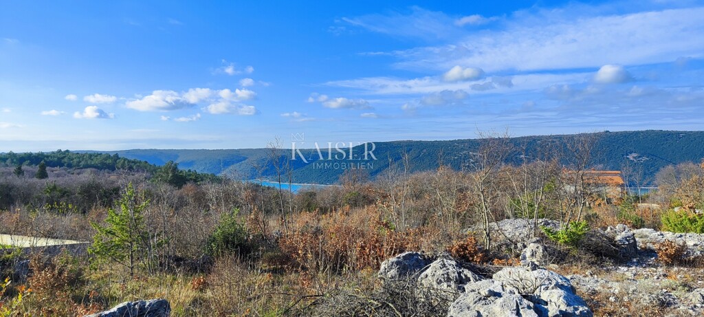 Image 6102060 - 1