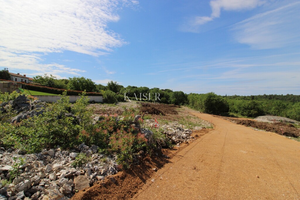 Image 6102061 - 2