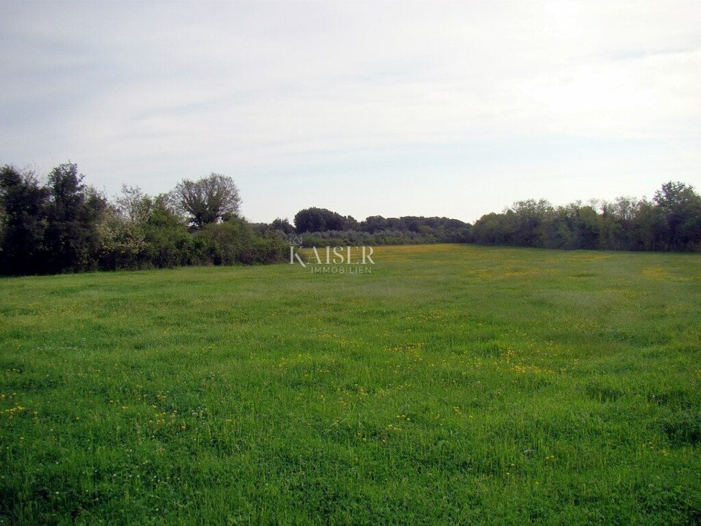 Image 6102064 - 6
