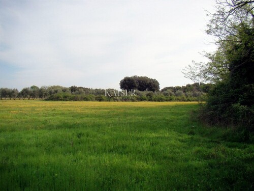 Thumbnail 6102064 - 10
