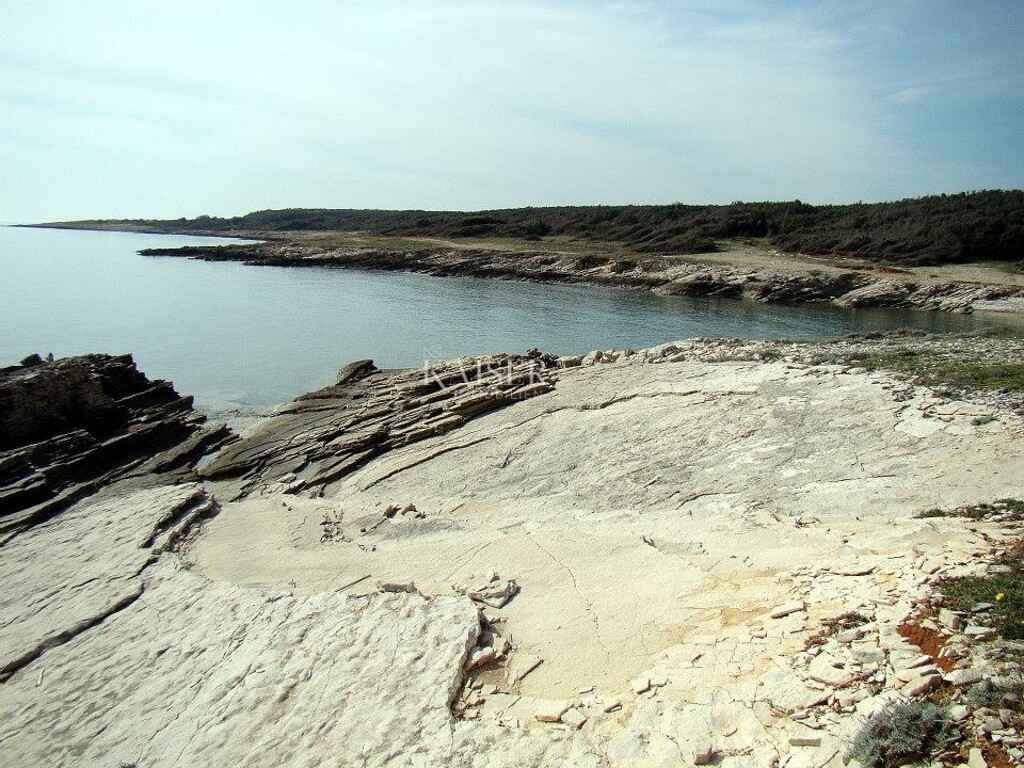 Image 6102064 - 4