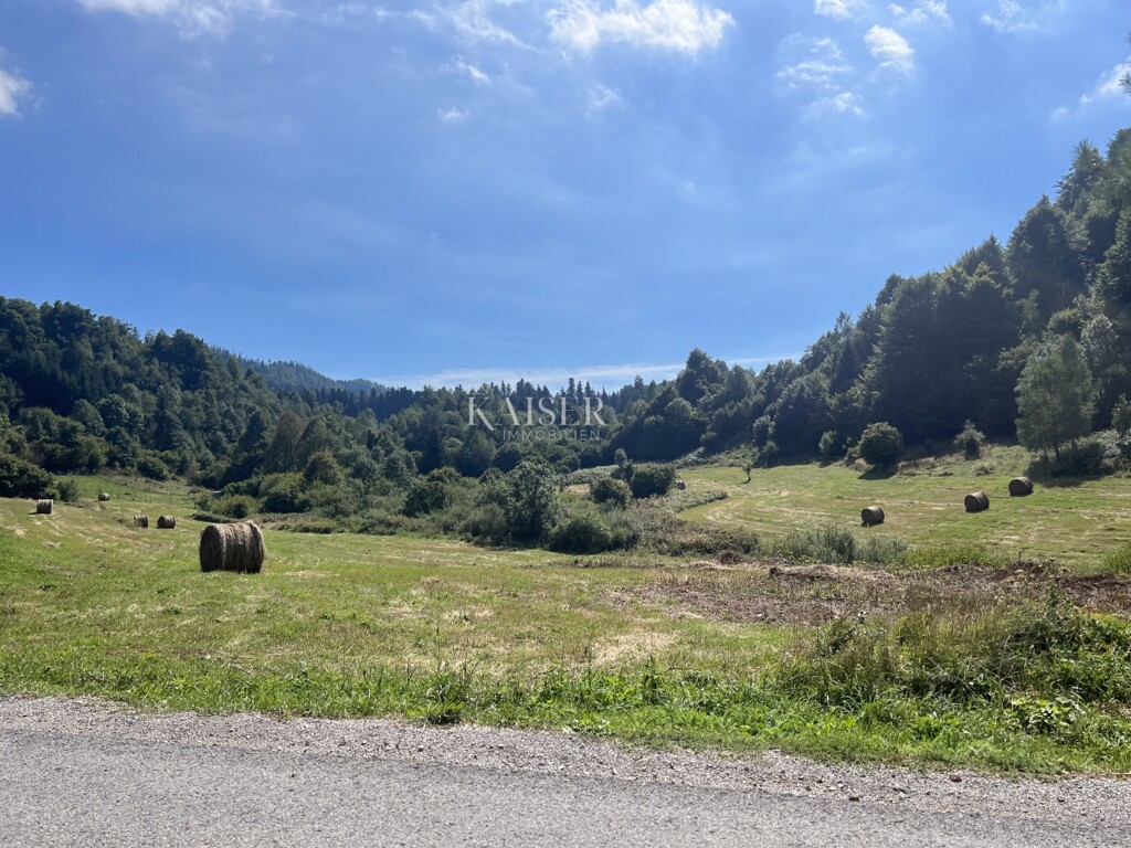 Image 6102346 - 1