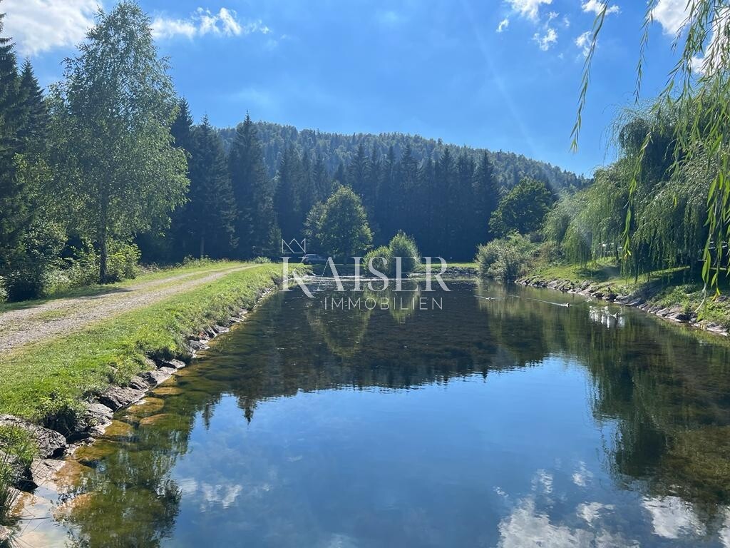 Image 6102365 - 2