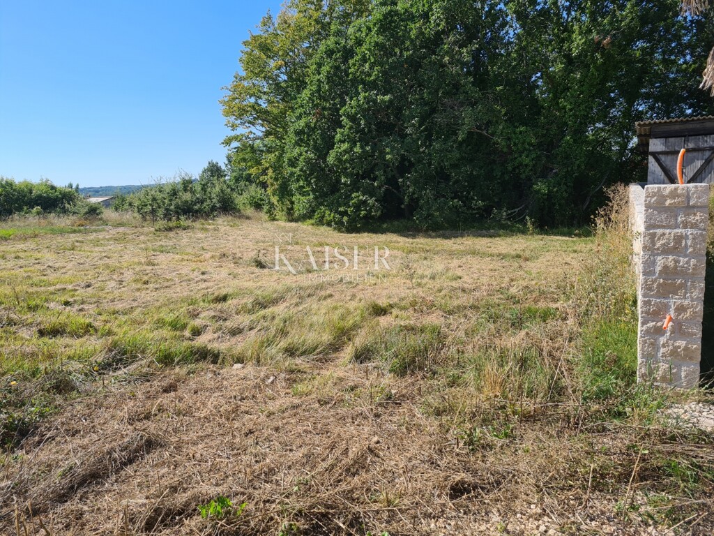 Image 6102366 - 1