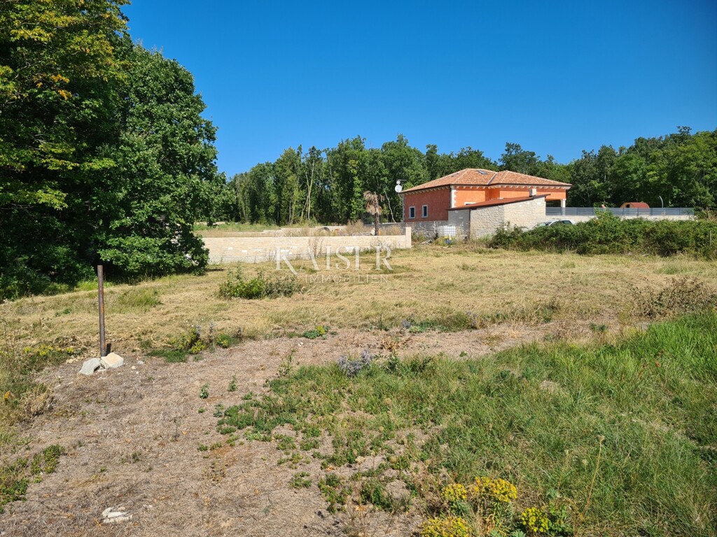 Image 6102366 - 2