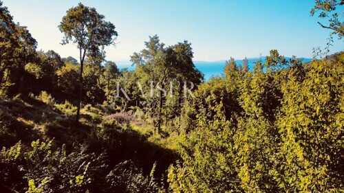 Thumbnail 6102405 - 8