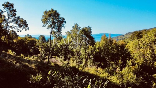 Thumbnail 6102406 - 7