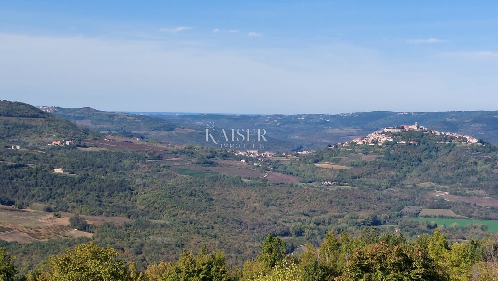Image 6102409 - 3