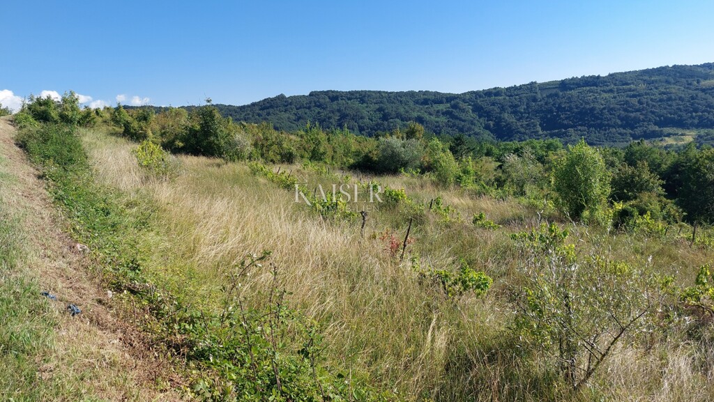 Image 6102409 - 8