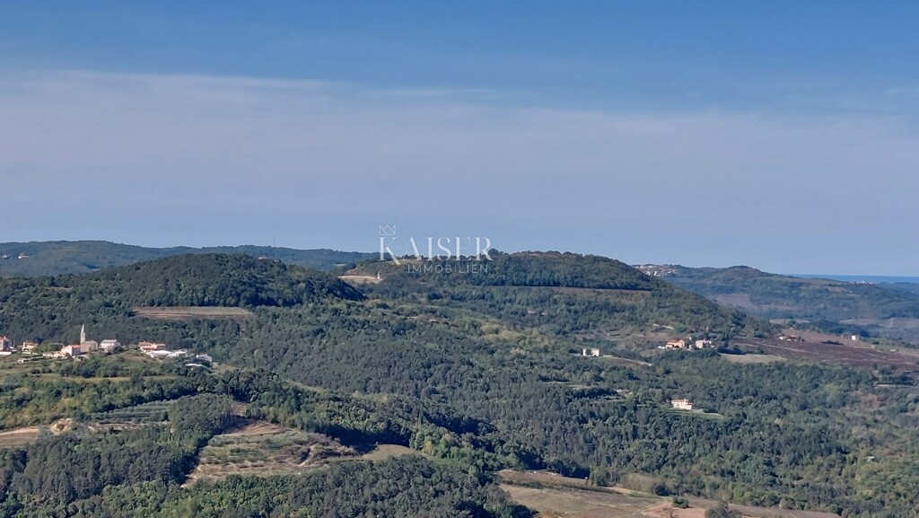 Image 6102409 - 2