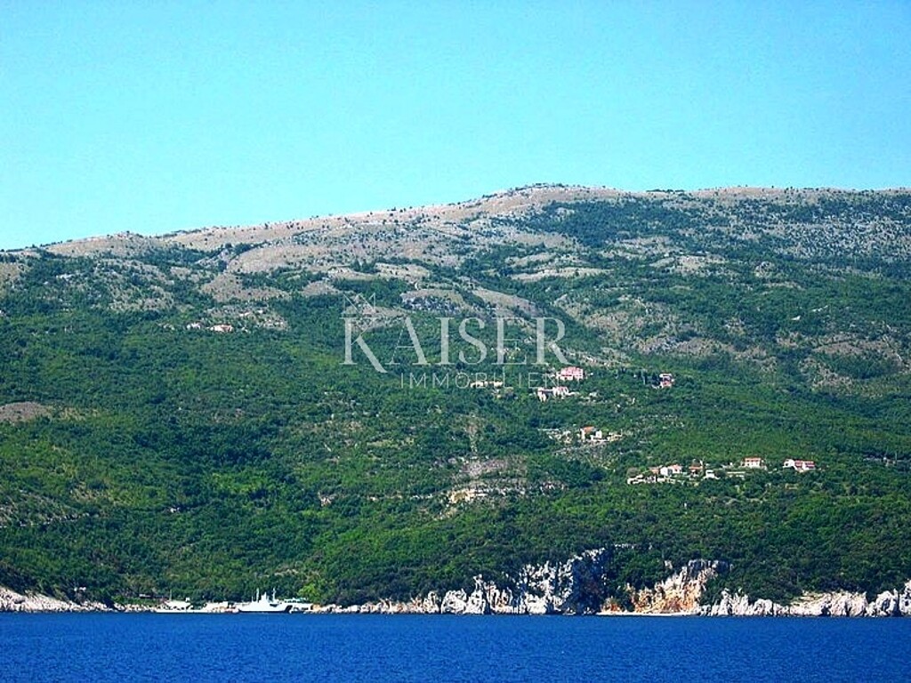 Image 6102436 - 5