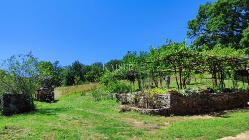 Thumbnail 6102438 - 8