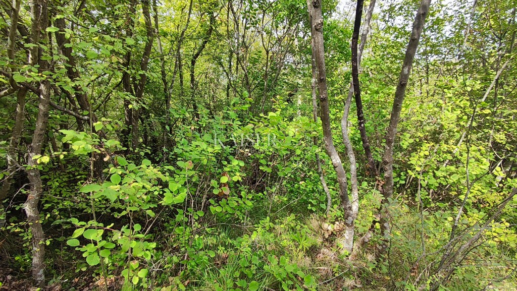 Image 6102451 - 2