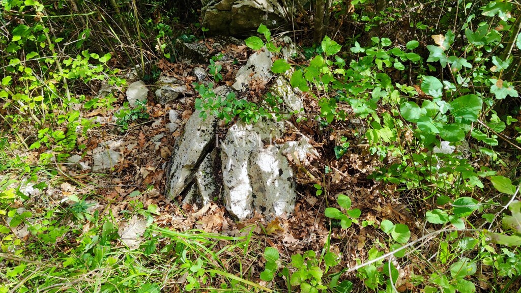Image 6102451 - 1