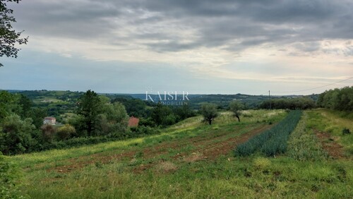 Istra - Grožnjan - građevinsko zemljište
