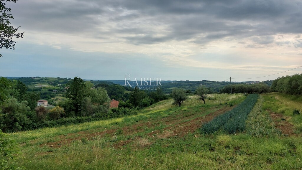 Image 6102492 - 1