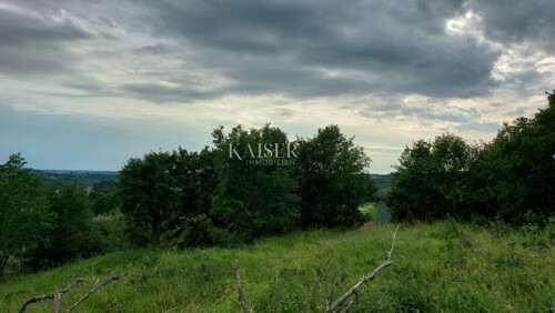 Thumbnail 6102492 - 4