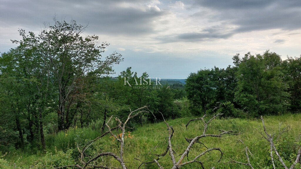 Image 6102492 - 5