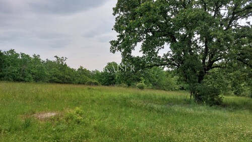 Thumbnail 6102497 - 8