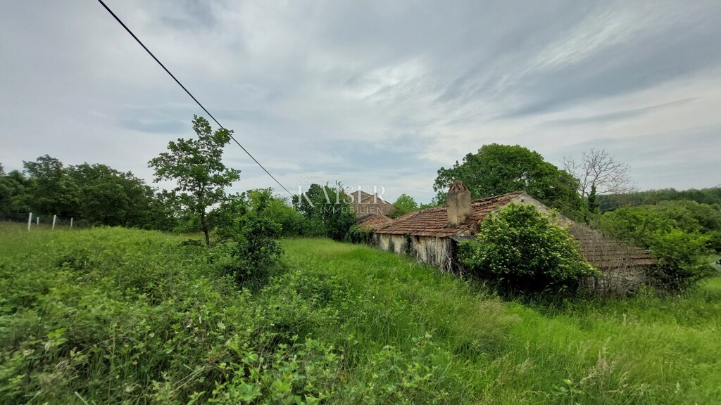 Image 6102497 - 10