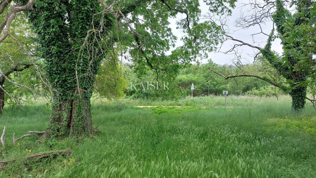 Image 6102497 - 4