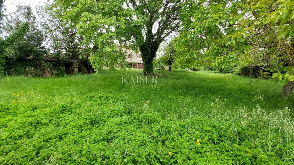 Image 6102497 - 11
