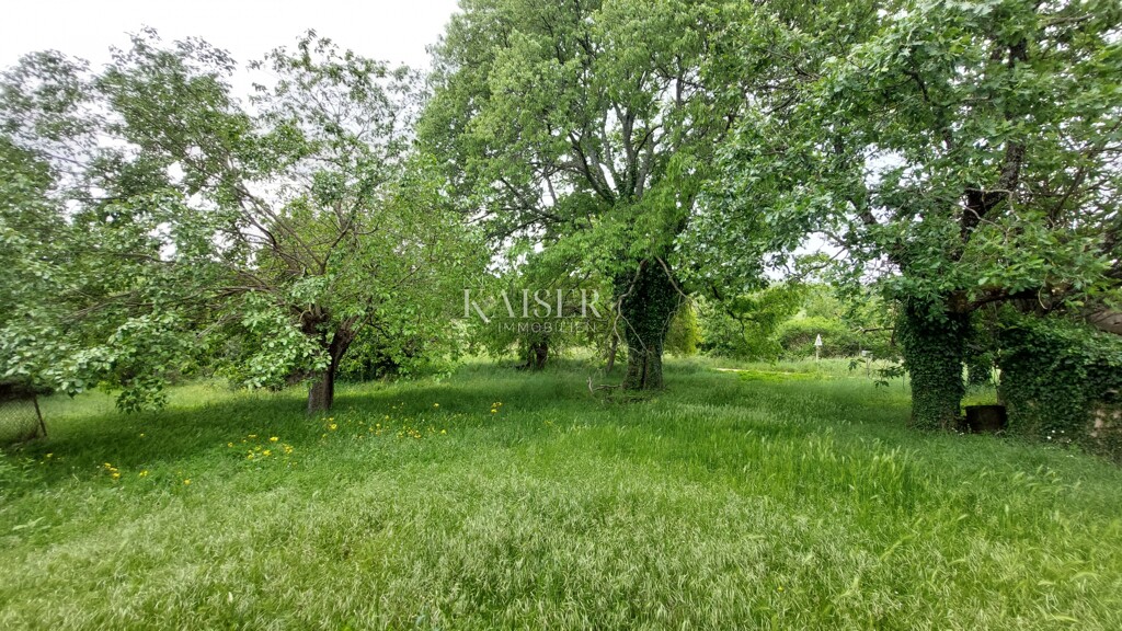 Image 6102497 - 9